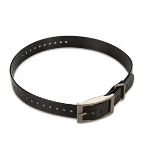 Hundehalsband (2,5 cm)