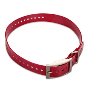 Hundehalsband (2,5 cm)
