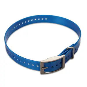 Hundehalsband (2,5 cm)