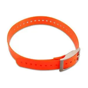 Hundehalsband (2,5 cm)